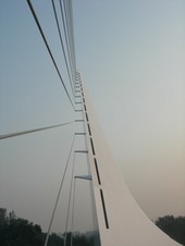 Enlarge photo 355