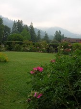 Enlarge photo 11
