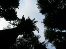 Enlarge photo 17