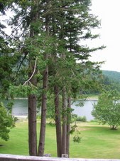 Enlarge photo 24