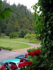 Enlarge photo 25