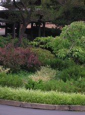 Enlarge photo 27