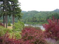 Enlarge photo 28
