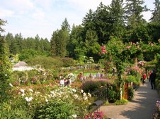Enlarge photo 111