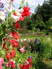 Enlarge photo 109
