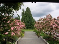 Enlarge photo 151
