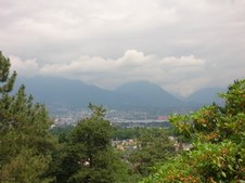 Enlarge photo 167