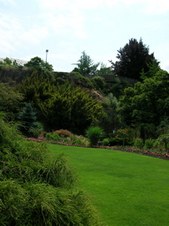 Enlarge photo 150
