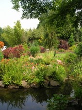 Enlarge photo 152