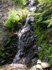 Enlarge photo 162