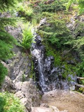 Enlarge photo 163