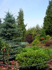 Enlarge photo 160