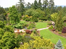 Enlarge photo 161