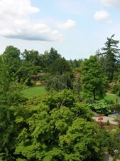 Enlarge photo 164