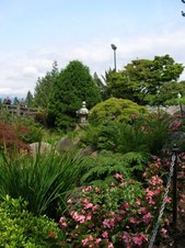 Enlarge photo 165