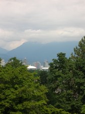 Enlarge photo 166