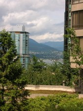 Enlarge photo 137