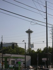 Enlarge photo 181