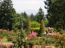 Enlarge photo 186