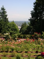 Enlarge photo 187