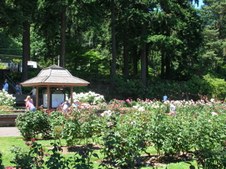 Enlarge photo 190