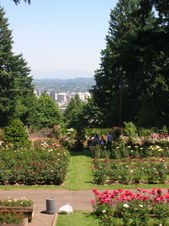 Enlarge photo 194