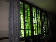 Enlarge photo 223
