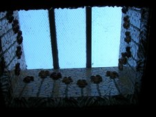 Enlarge photo 209