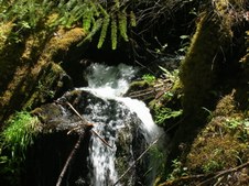 Enlarge photo 284