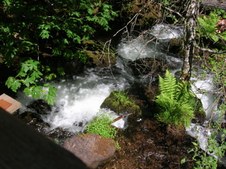 Enlarge photo 285