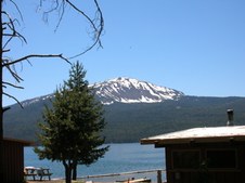 Enlarge photo 291