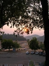 Enlarge photo 345