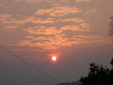 Enlarge photo 347