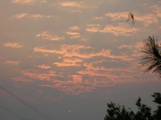 Enlarge photo 348