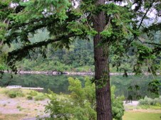 Enlarge photo 32