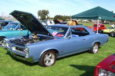 Enlarge photo 15