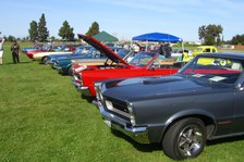 Enlarge photo 22