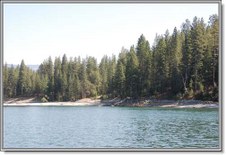 Enlarge photo 37