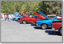Enlarge photo 66