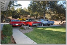Enlarge photo 111