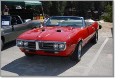 Enlarge photo 126