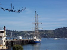 Enlarge photo 37