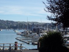 Enlarge photo 39