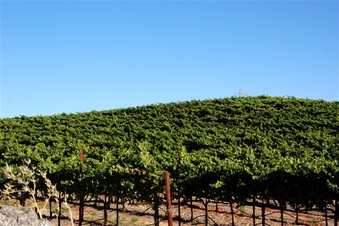 Enlarge photo 58