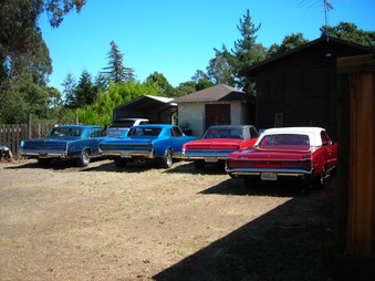 Enlarge photo 79