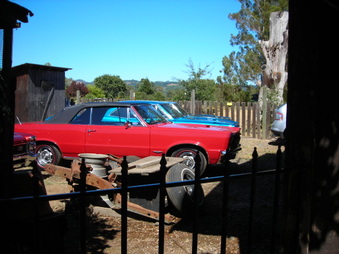 Enlarge photo 62