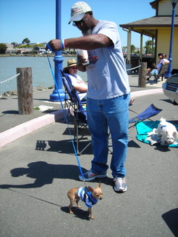 Enlarge photo 47
