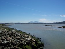 Enlarge photo 31