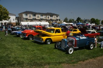 Enlarge photo 41