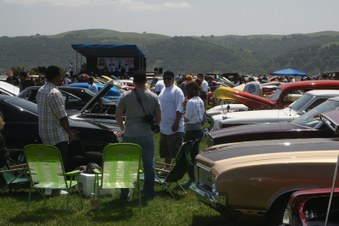 Enlarge photo 42